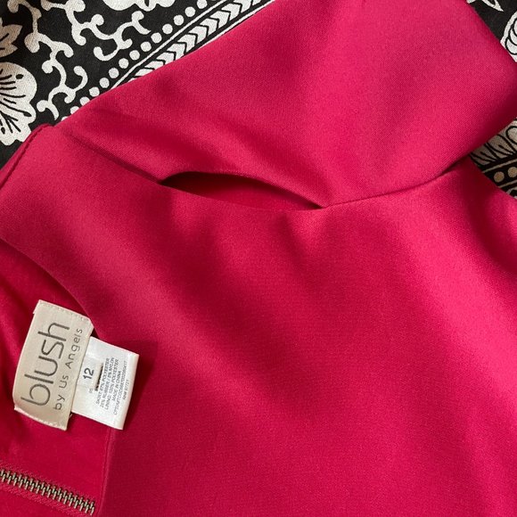 Blush by US Angels Fuchsia and White semi-formal Girls Dress Size 12 - Picture 2 of 4